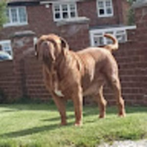 Meet your Posher, Mark